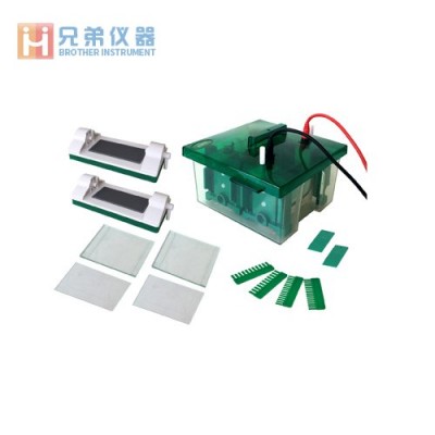 JY-Mini-P4型垂直電泳槽