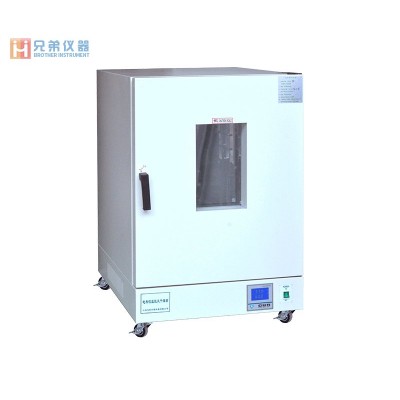 LDO-9240A電熱恒溫鼓風(fēng)干燥箱