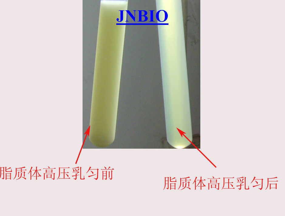 脂質(zhì)體納米乳化處理前后對(duì)比圖