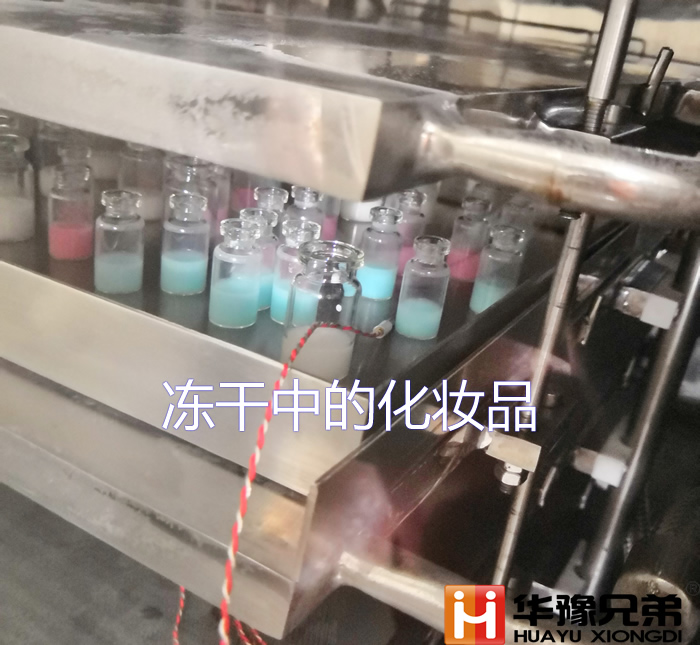 LGJ-30F（硅油加熱）自動壓蓋冷凍干燥機