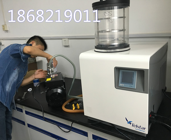 西班牙凍干機lyoquest -85真空冷凍干燥機