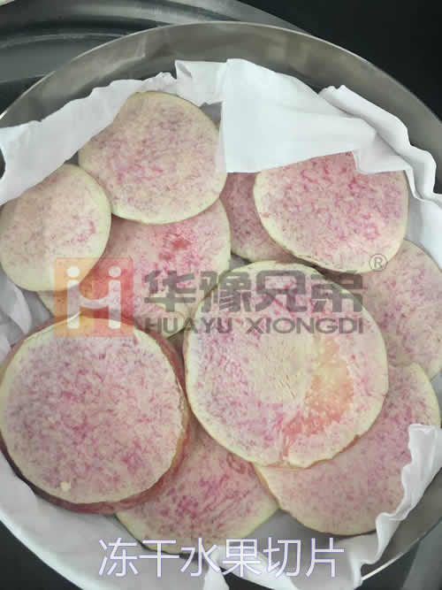 LGJ-18多歧管壓蓋真空冷凍干燥機