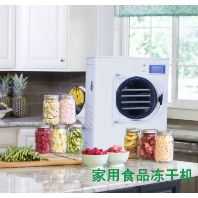 小型低溫凍干設備 水果冷凍干燥機